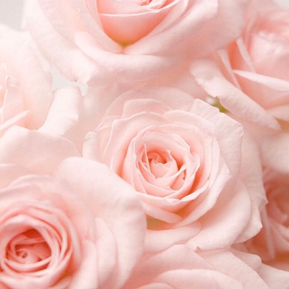 Bundle to save $$ - Picture 6 of 7